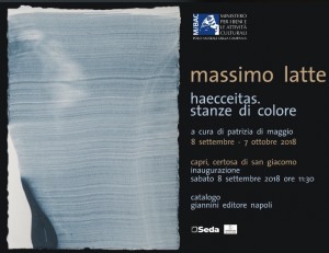 massimo-latte-haecceitas-stanze-di-colore